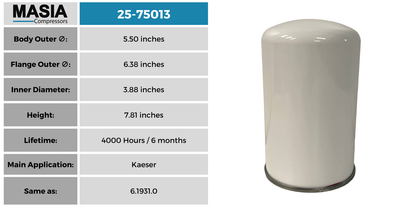 ZS1035710 Filtro Separador Compatible con Gardner Denver