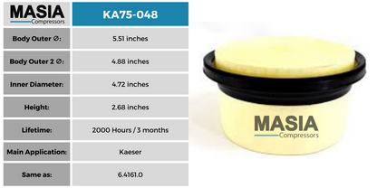 6.4161.0 Filtro de Aire Compatible con Kaeser