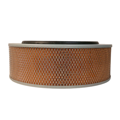 Filtro De Aire Woodward Sales 641484