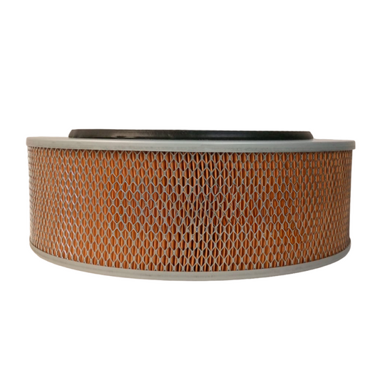 Filtro De Aire Woodward Sales 641484