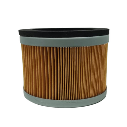 C1112/2 Filtro de Aire Compatible con Mann Filter